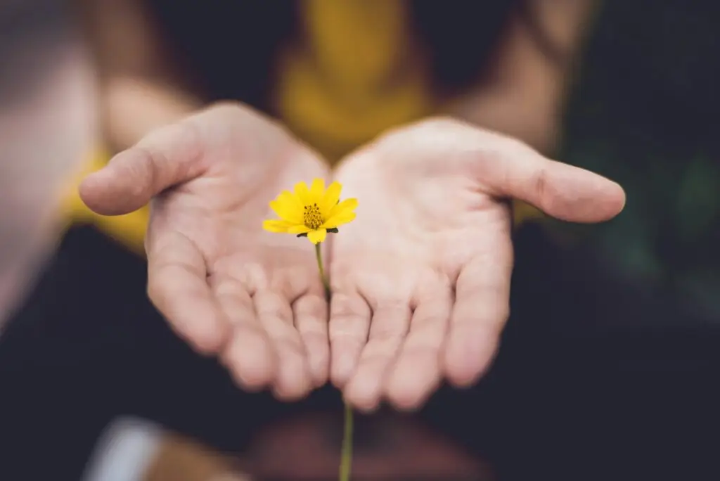 Woman holding a yellow flower in her hands